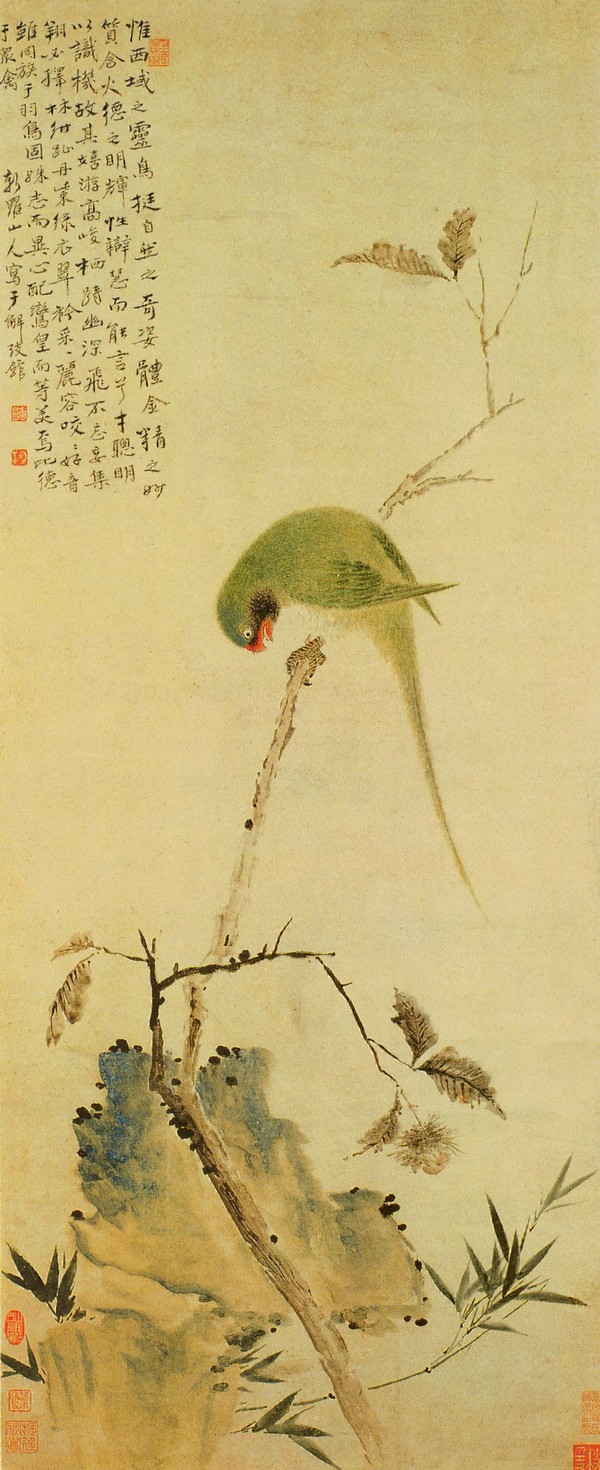 竹石鹦鹉图轴
