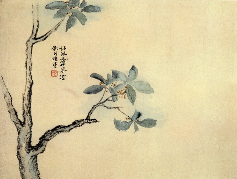 折枝花卉图册(之五)
