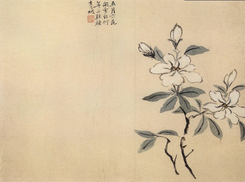 折枝花卉图册(之八)