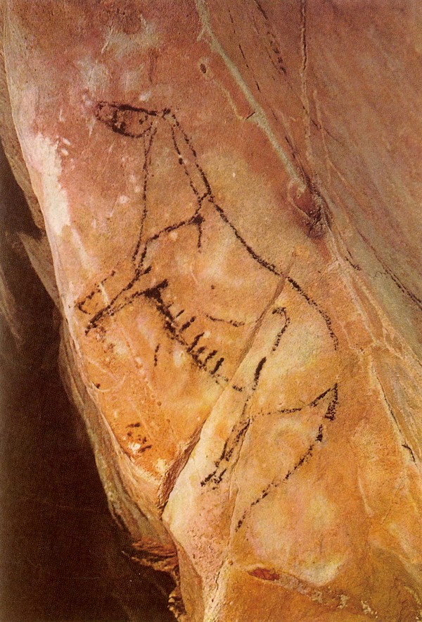 西班牙的拉斯·蒙达斯洞壁画-马