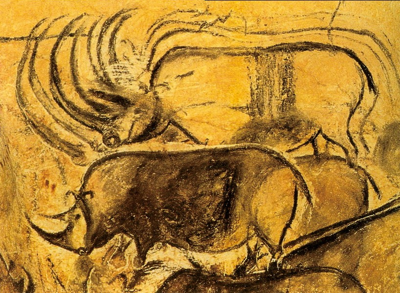 阿尔代什的阿尔克岩洞壁画-肖维洞的犀牛