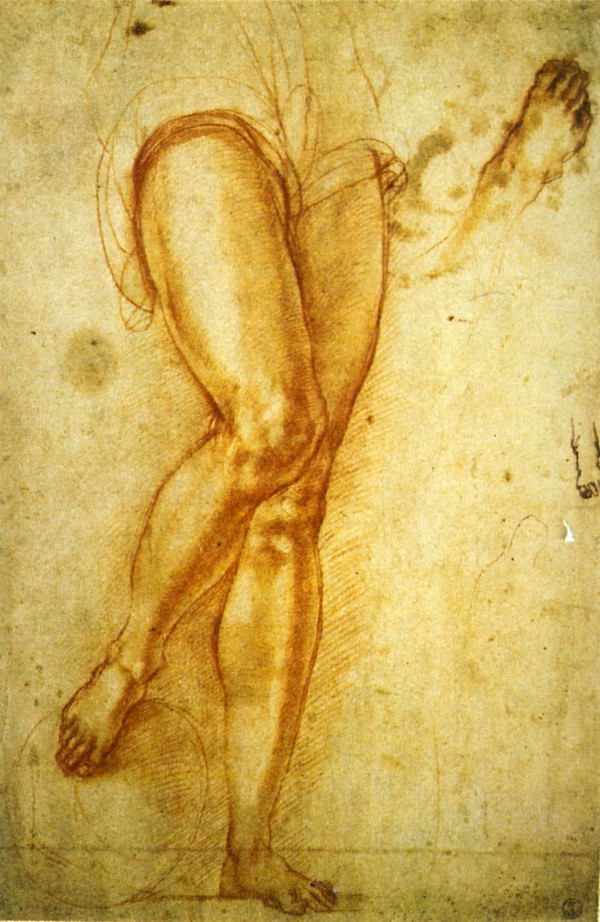 圣米迦勒腿部素描