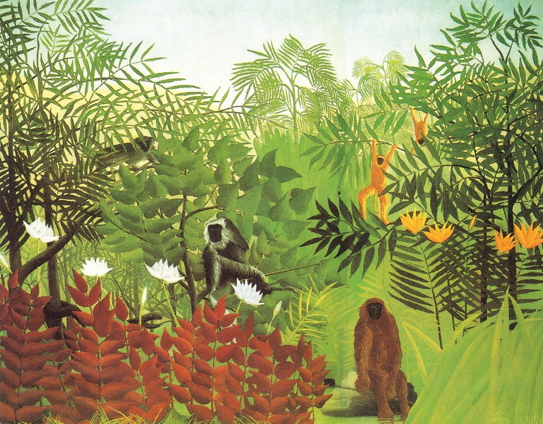 有猴子的热带丛林