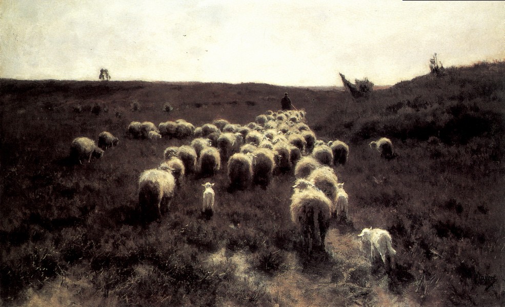 回归的羊群