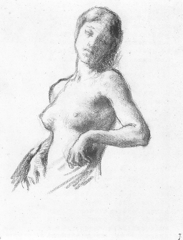 裸妇胸像