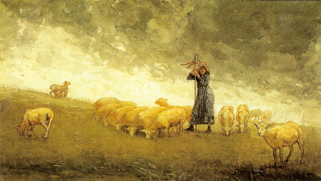 牧羊女照管羊群