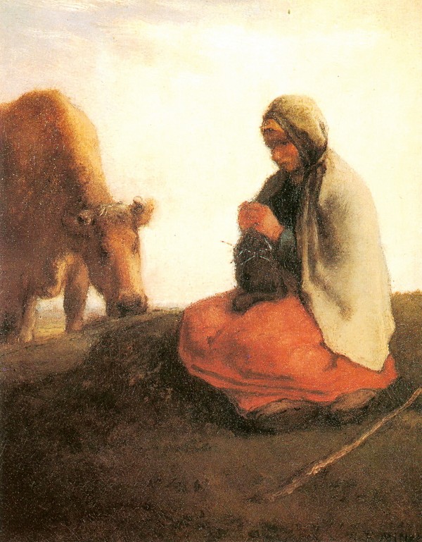 在牛旁草地上打毛衣的女人
