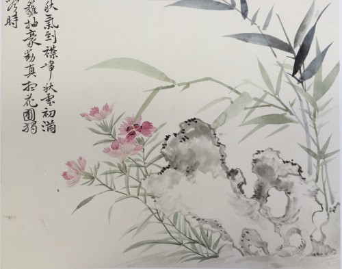 中国美术学院：花卉图集324663