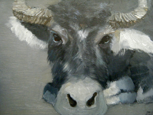 中央美术学院:《牛头》_原创作品_原创_西方油画艺术长廊