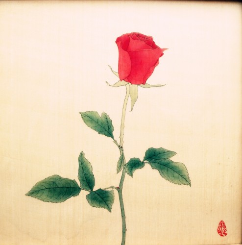 江南大学：永恒的玫瑰